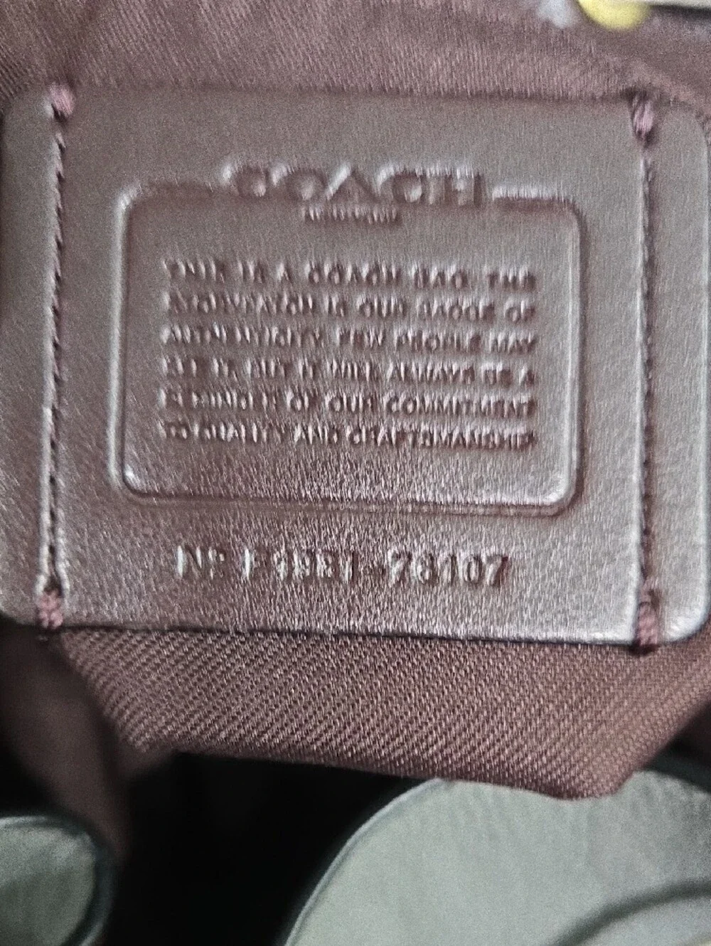 Coach Gray and Cream Leather Drawstring Backpack with Snakeskin Trim - Picture 11 of 14